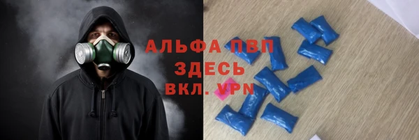 ECSTASY Алзамай