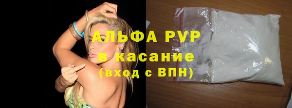 ECSTASY Алзамай